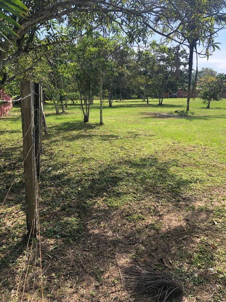 Terreno, 6000 m² - Foto 13