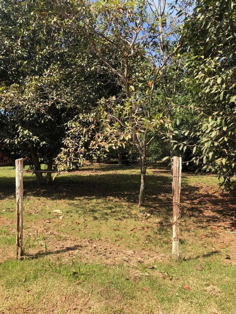 Terreno, 6000 m² - Foto 9