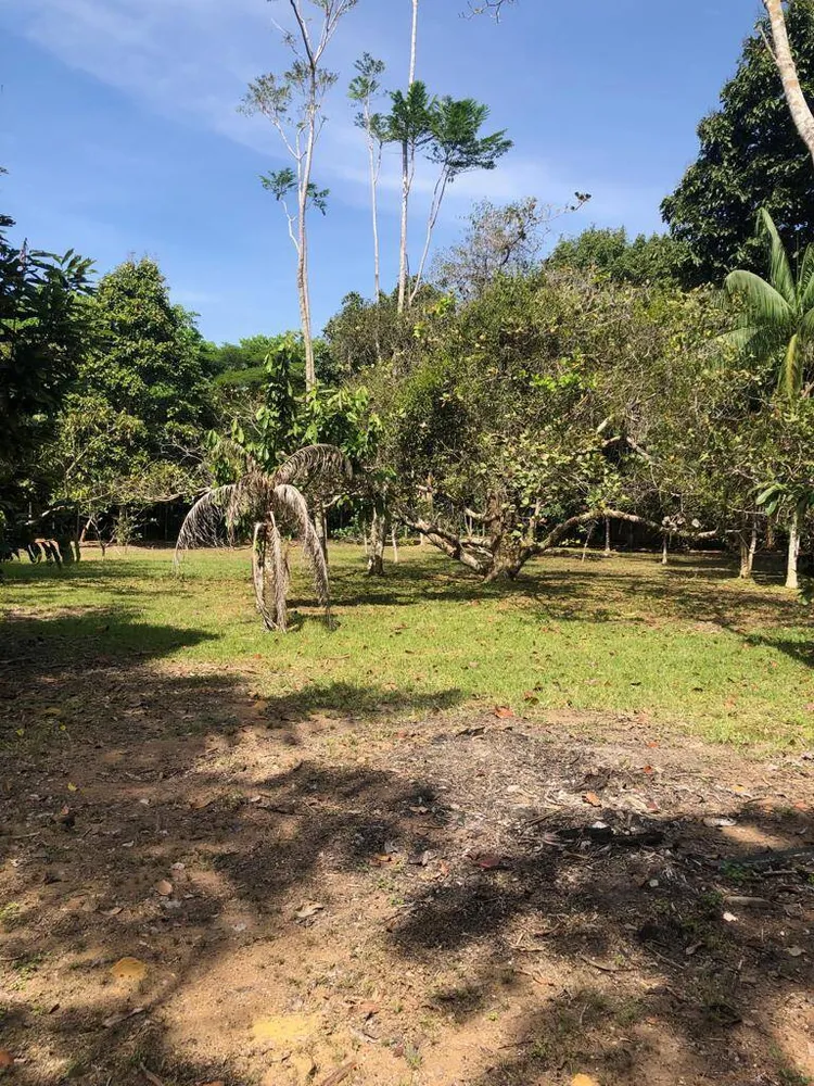 Terreno, 6000 m² - Foto 12