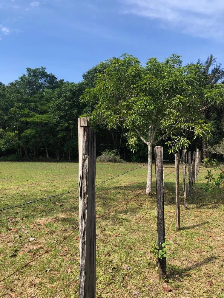 Terreno, 6000 m² - Foto 3