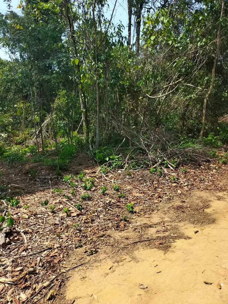 Terreno, 5200 m² - Foto 3