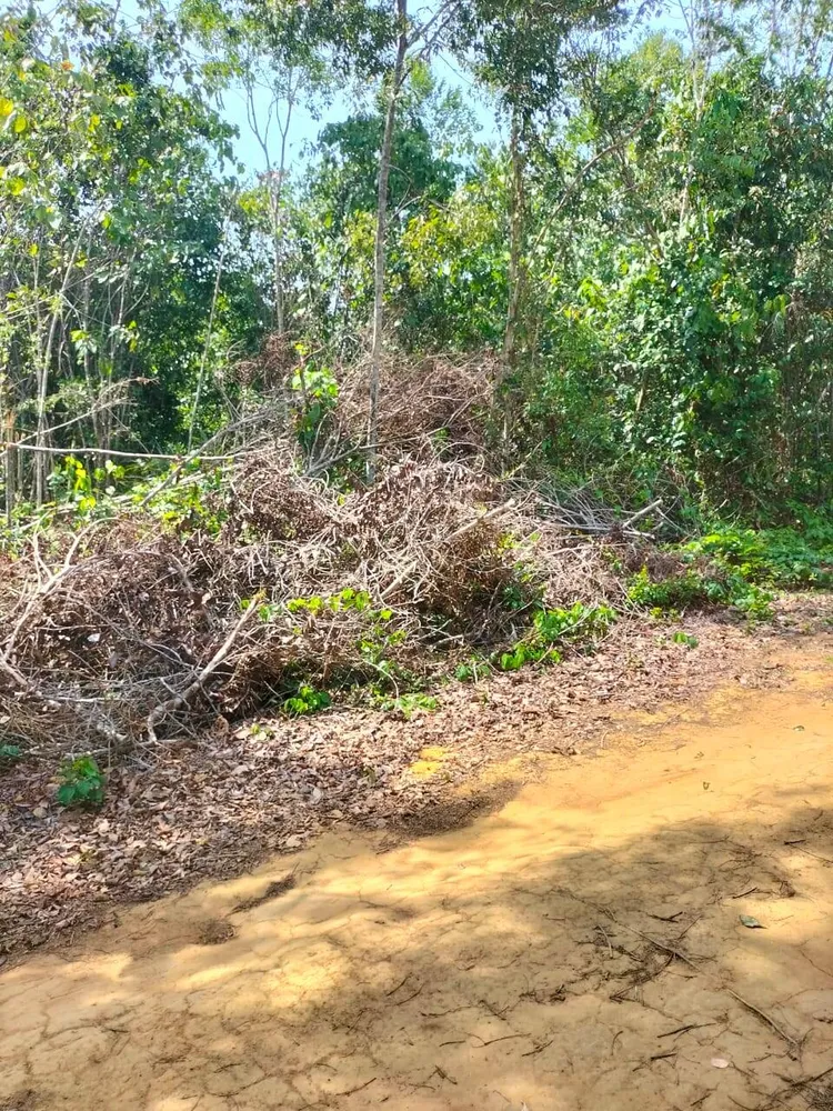 Terreno, 5200 m² - Foto 8