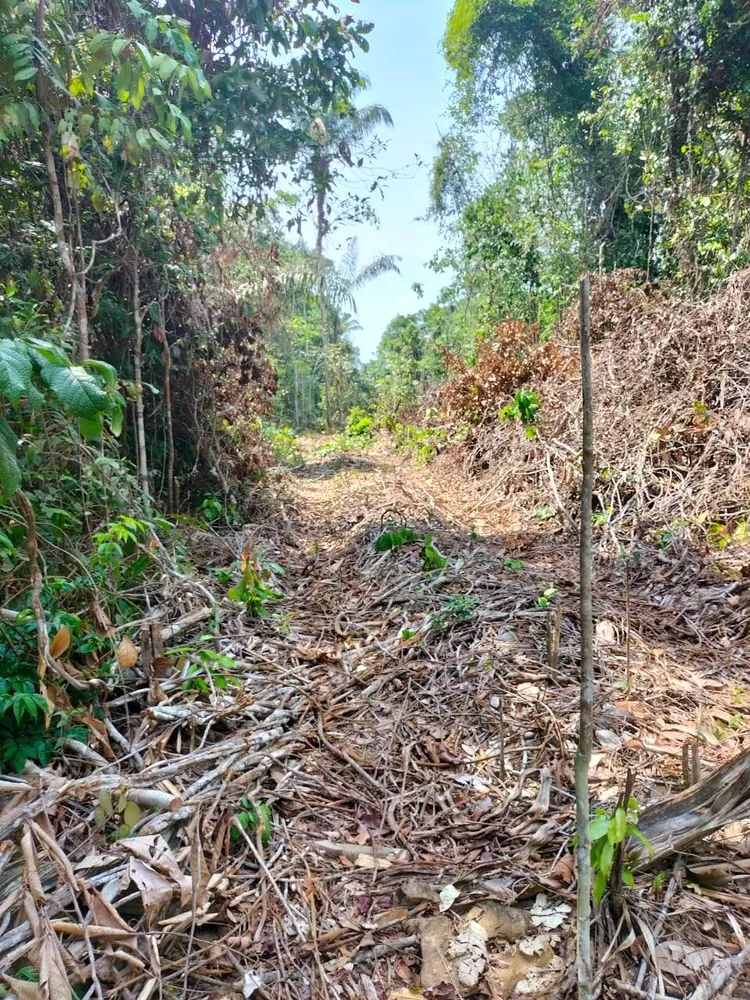 Terreno, 5200 m² - Foto 6