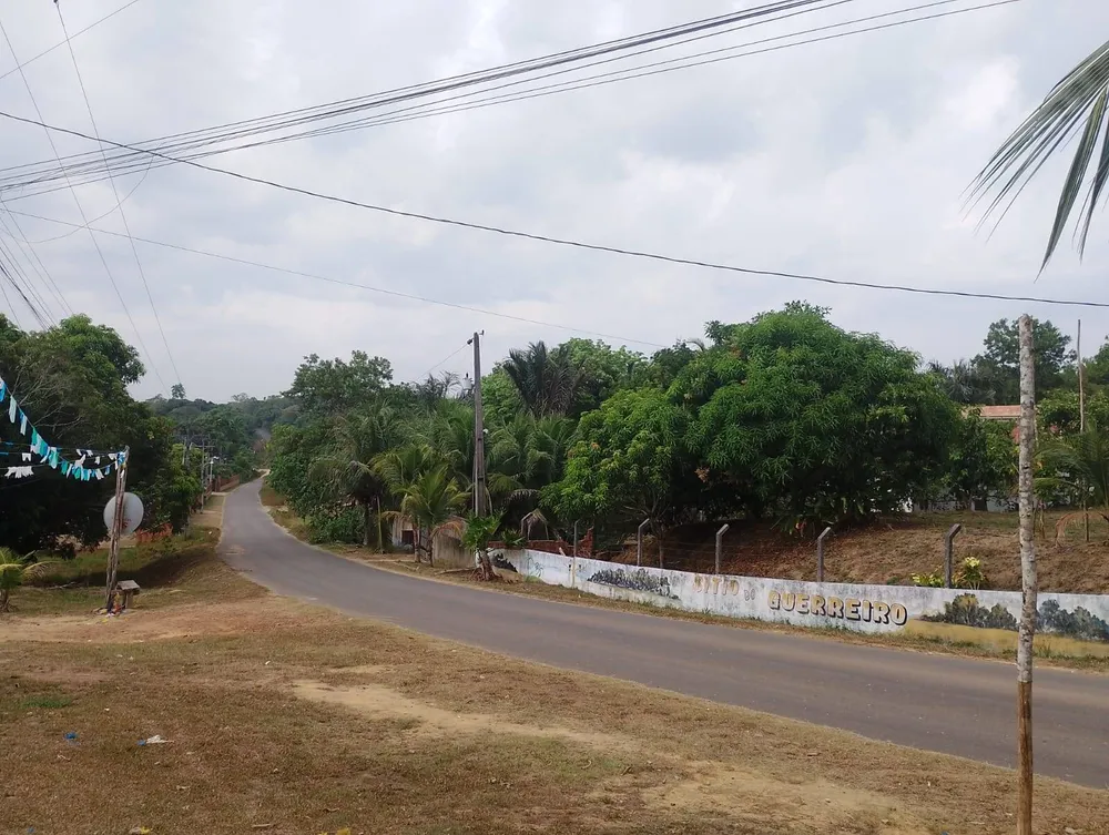 Chácara, 2 quartos, 6000 m² - Foto 3