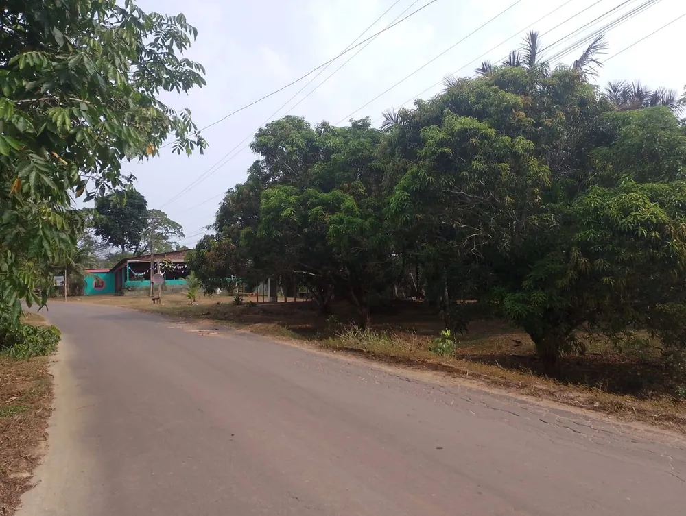 Chácara, 2 quartos, 6000 m² - Foto 3