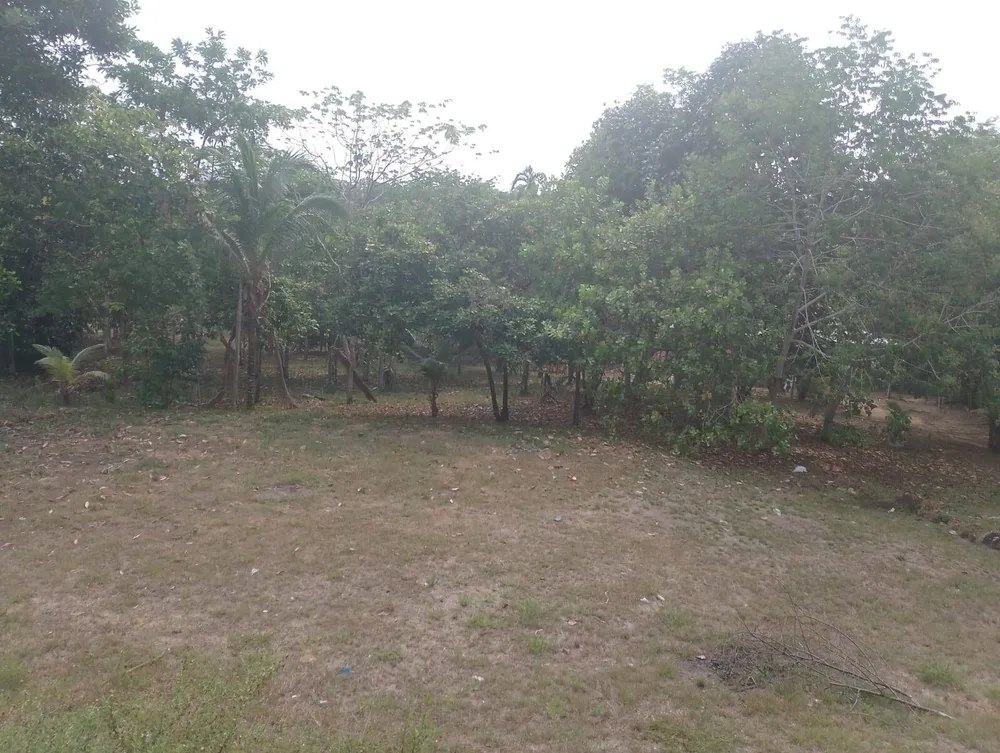 Chácara, 2 quartos, 6000 m² - Foto 4
