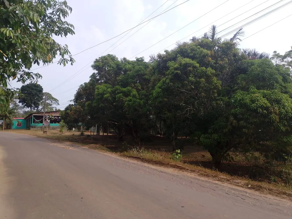 Chácara, 2 quartos, 6000 m² - Foto 10