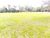 Terreno, 32 m² - Foto 1