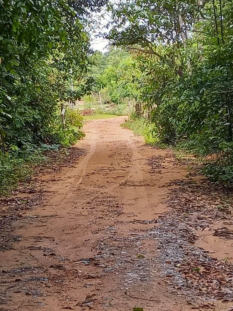 Terreno, 24 hectares - Foto 1