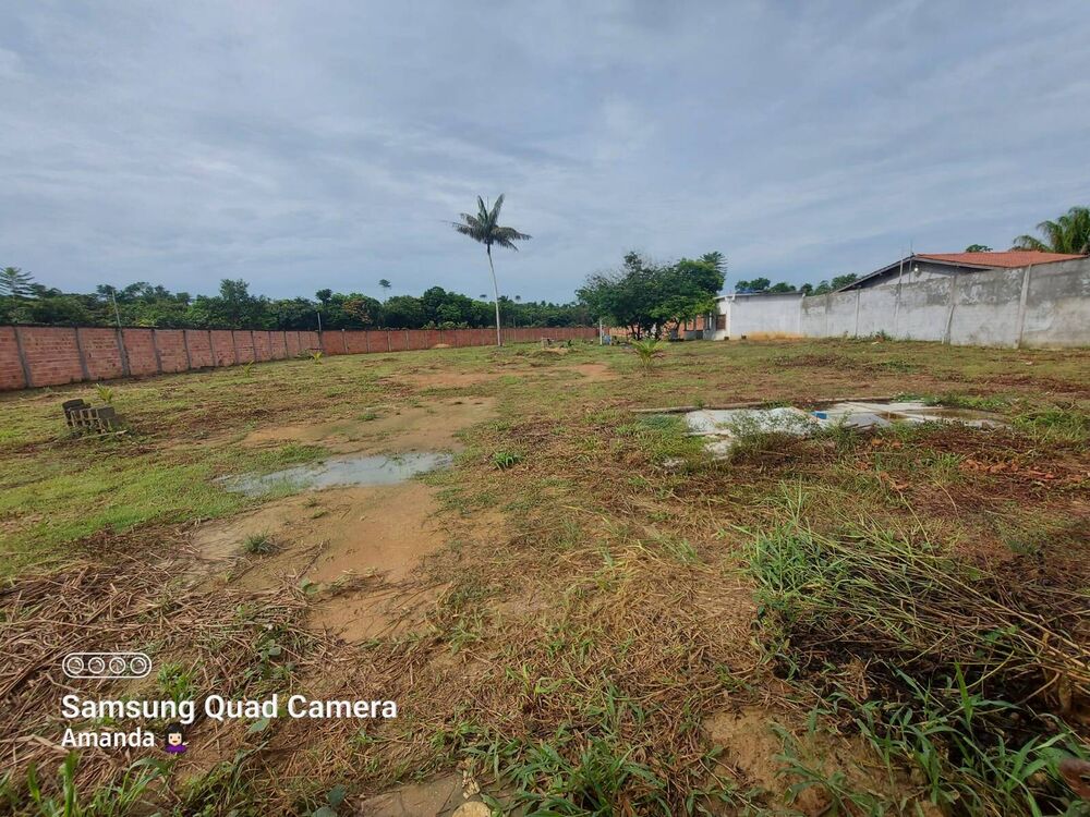 Terreno à venda e aluguel, 6000m² - Foto 1