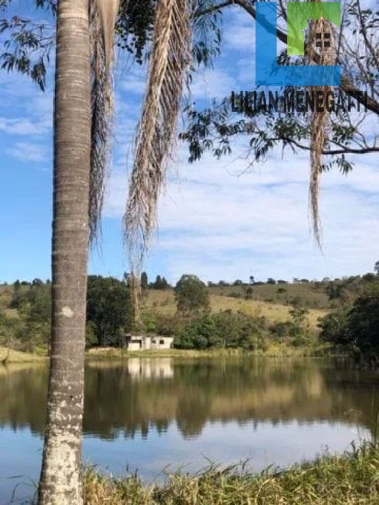 Terreno, 21 hectares - Foto 4