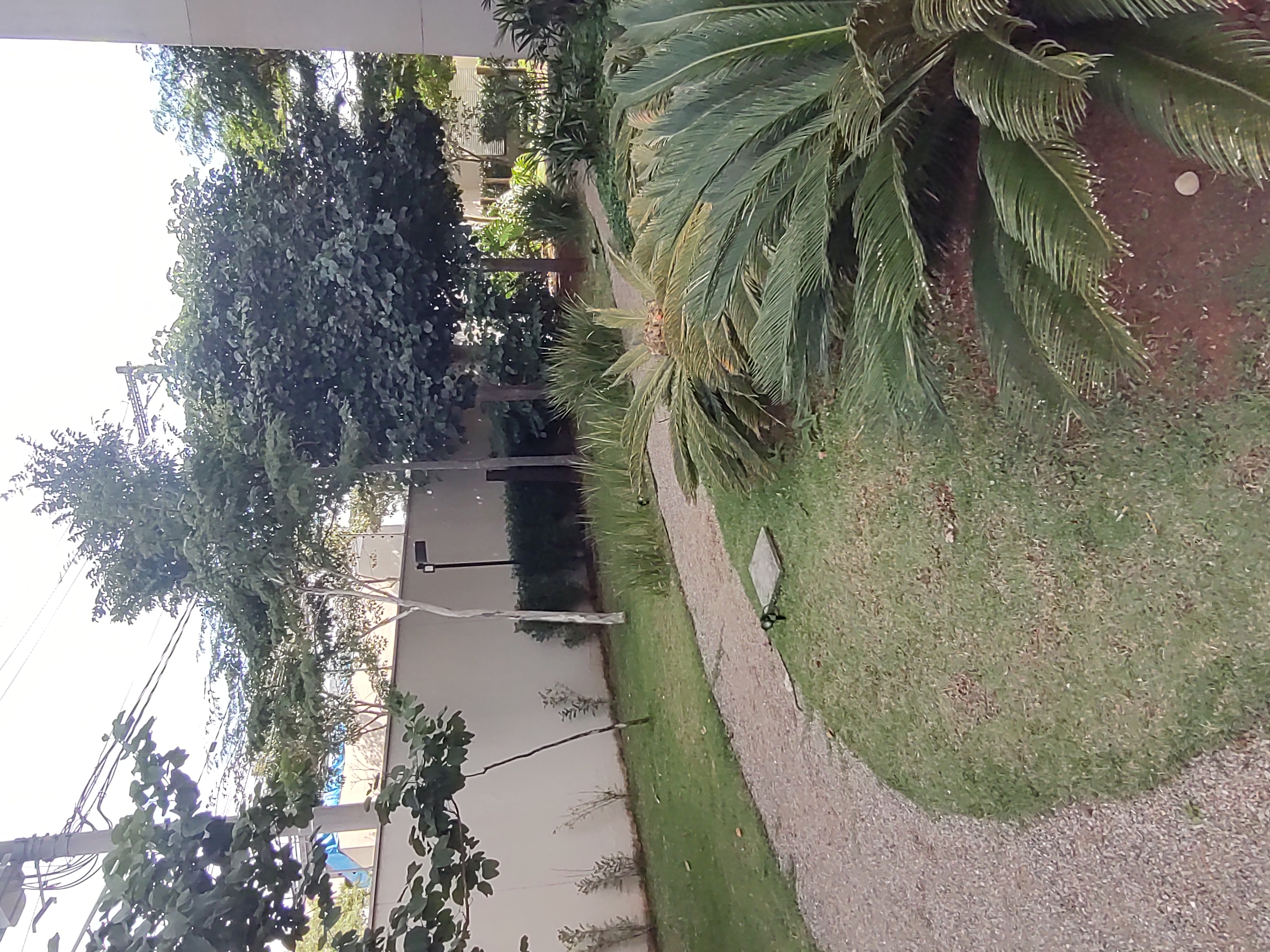 Apartamento, 2 quartos, 54 m² - Foto 7