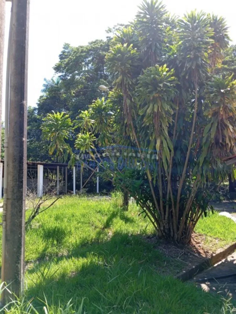 Sítio, 3 quartos - Foto 8