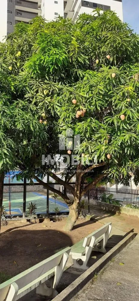Apartamento, 3 quartos, 94 m² - Foto 3