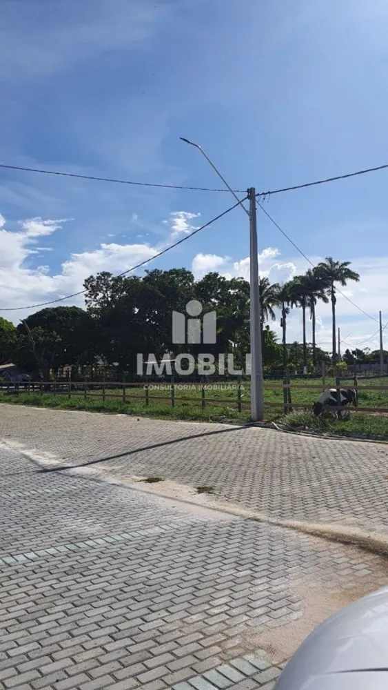 Terreno, 2 hectares - Foto 3