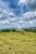 Fazenda, 232 hectares - Foto 9