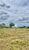 Fazenda, 232 hectares - Foto 4