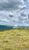 Fazenda, 232 hectares - Foto 8