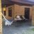 Casa, 4 quartos - Foto 5
