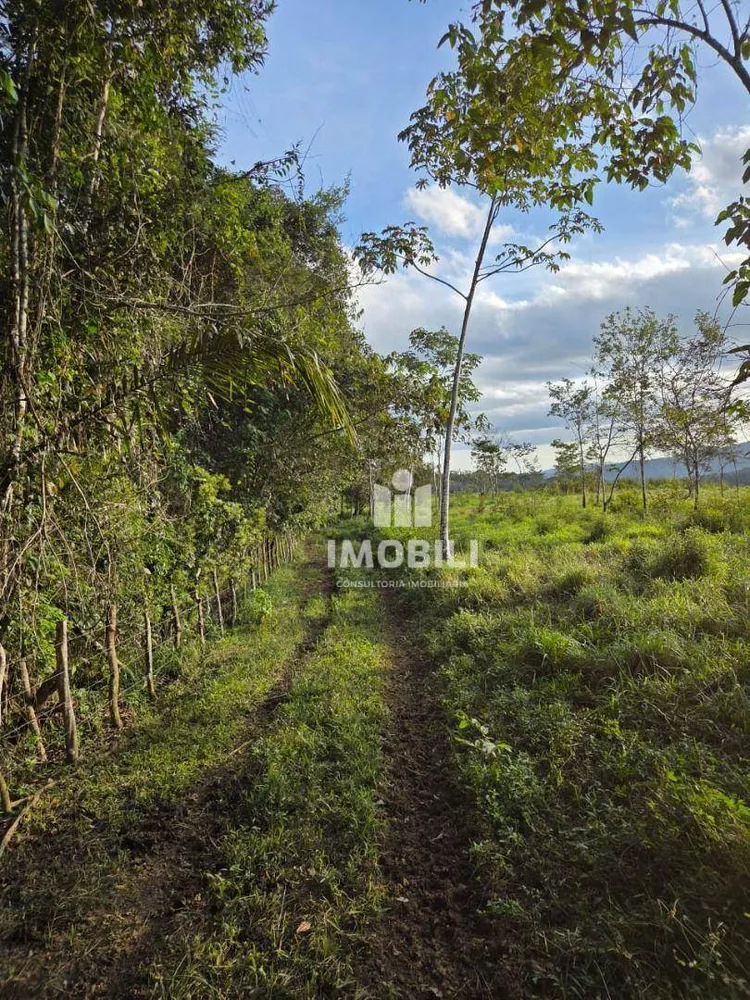 Fazenda - Foto 7