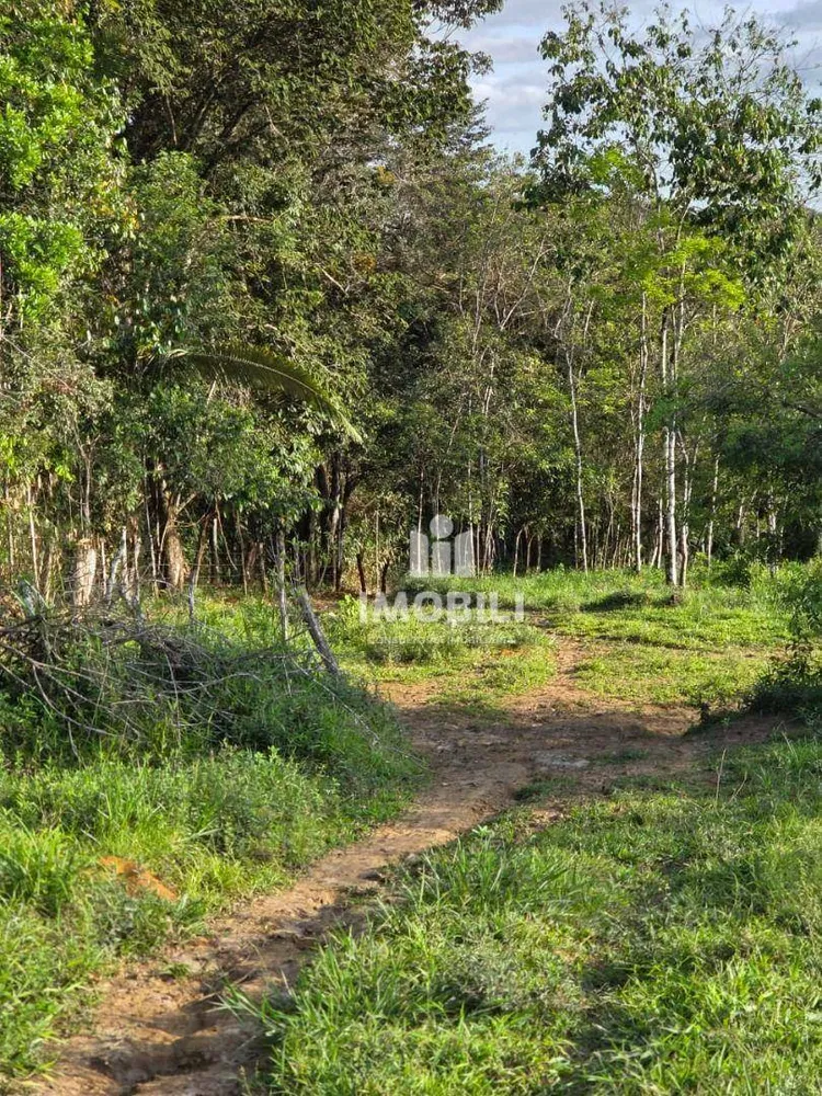 Fazenda - Foto 12
