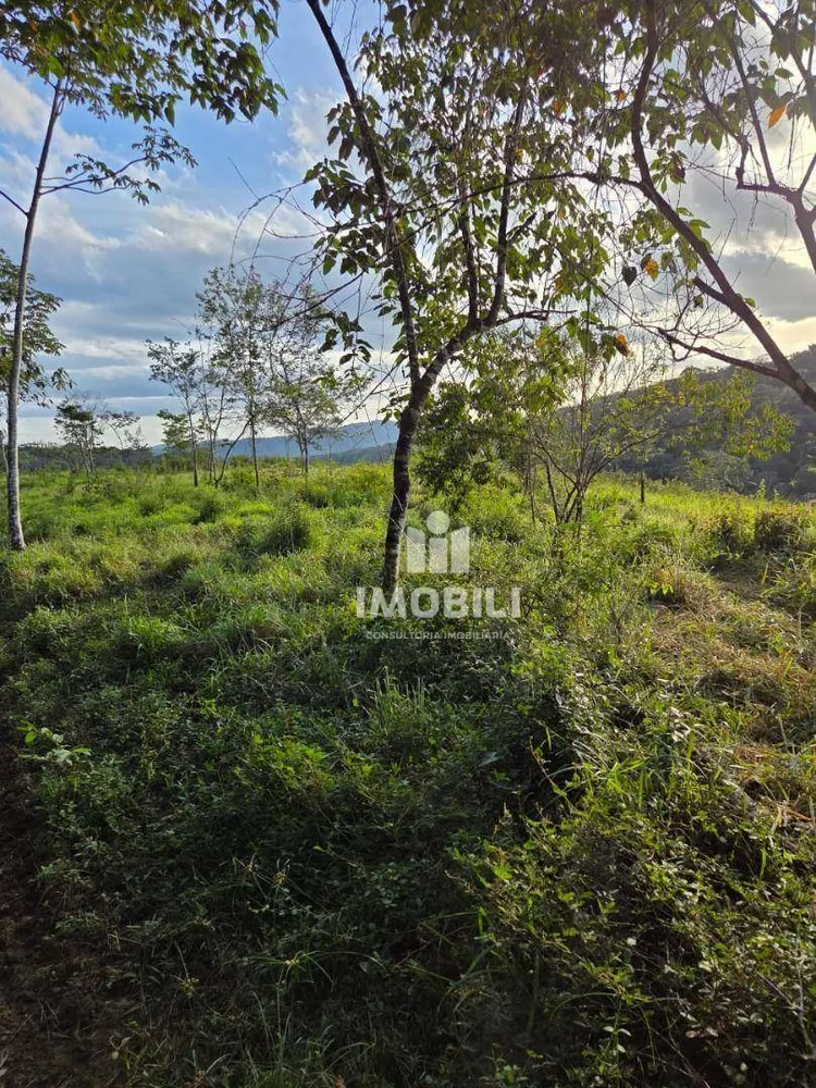 Fazenda - Foto 11