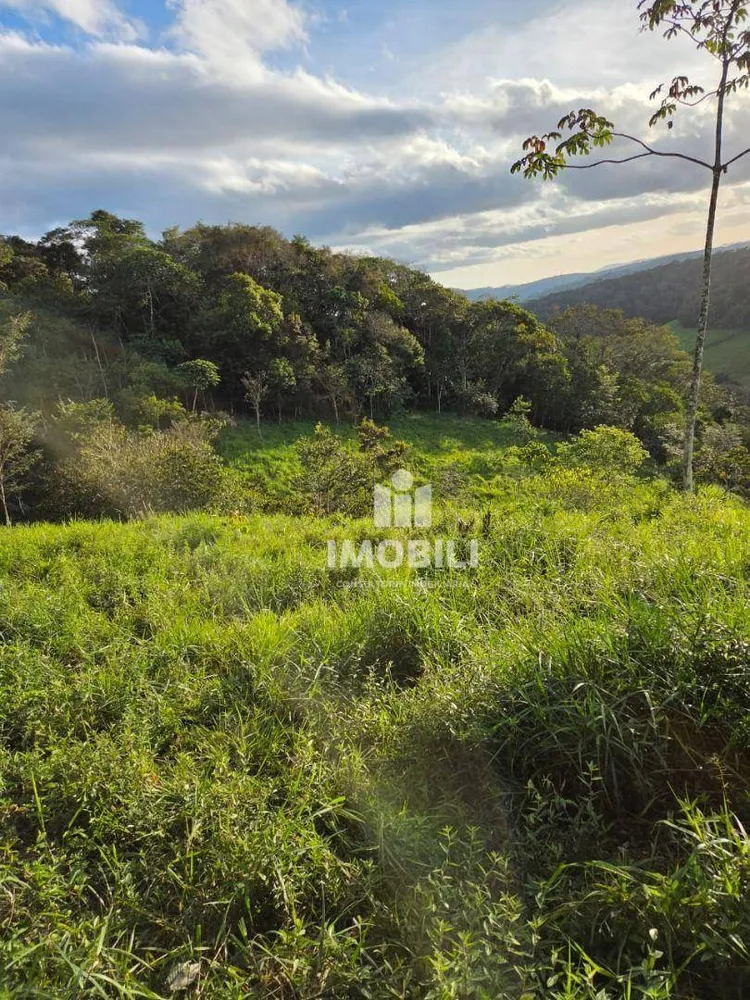 Fazenda - Foto 4