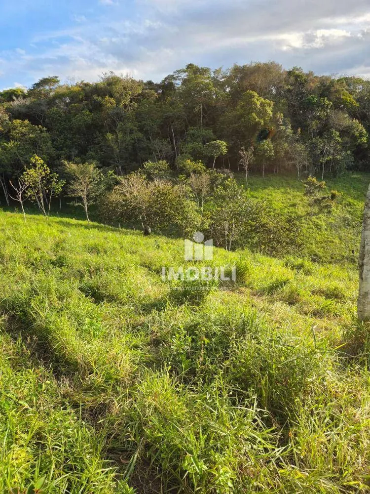 Fazenda - Foto 5
