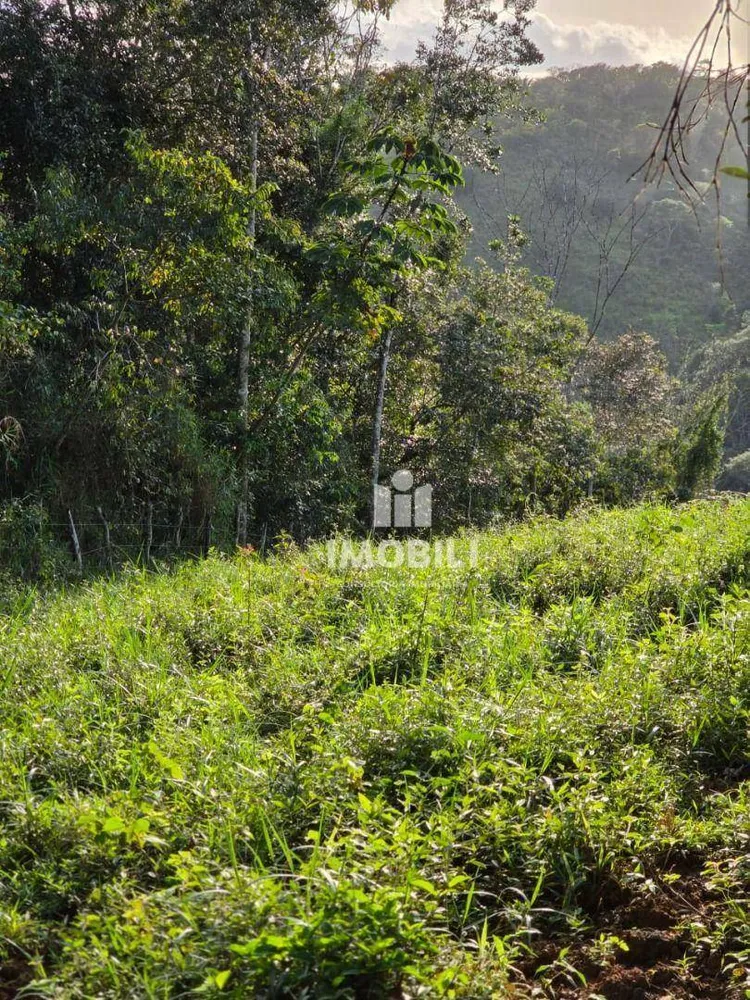 Fazenda - Foto 1
