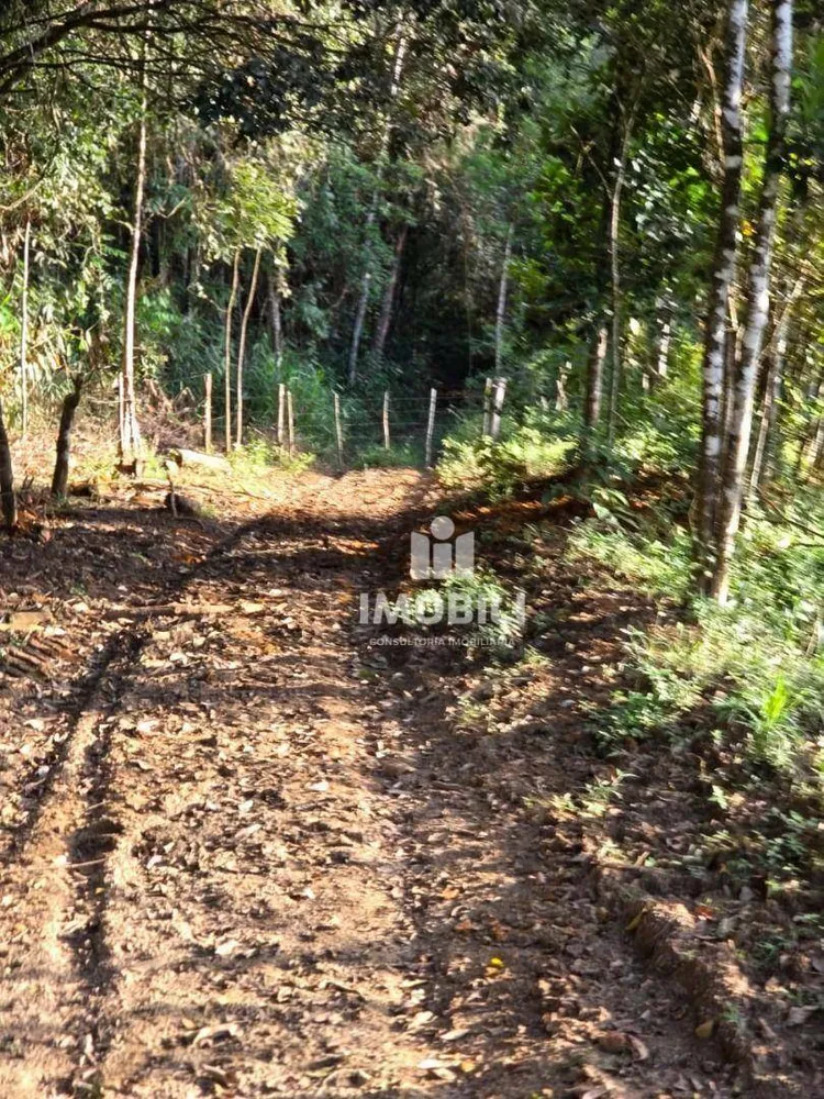 Fazenda - Foto 10