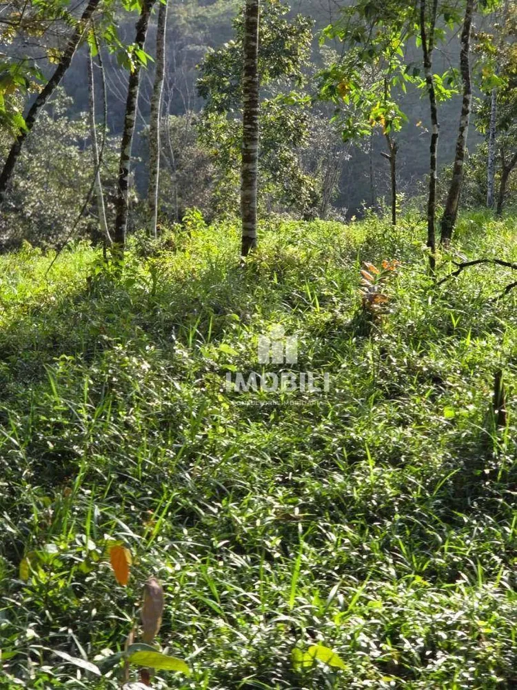 Fazenda - Foto 8