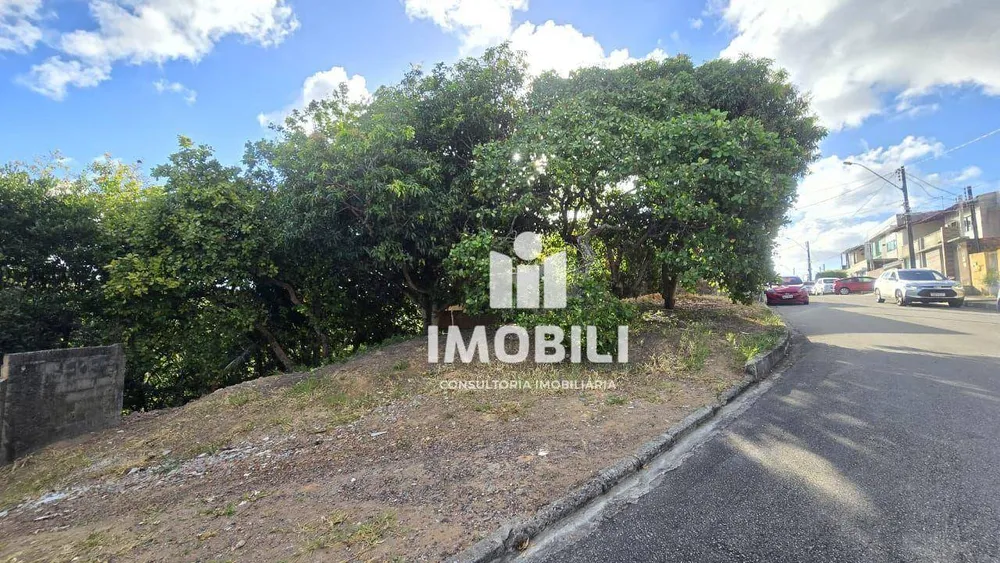 Loteamento e Condomínio, 432 m² - Foto 4