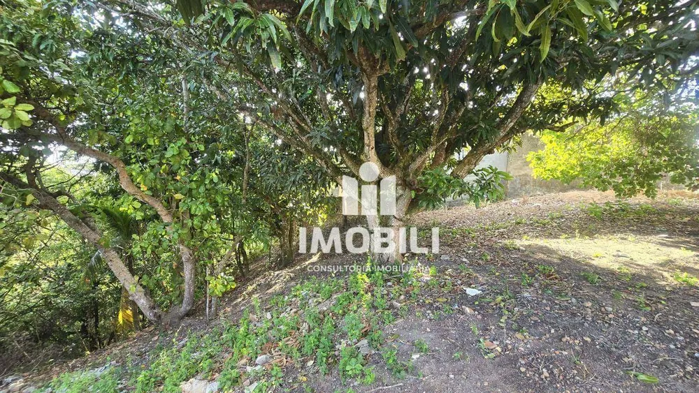 Loteamento e Condomínio, 432 m² - Foto 7