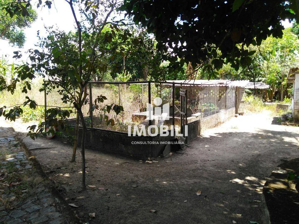 Chácara, 8 quartos, 3000 m² - Foto 10