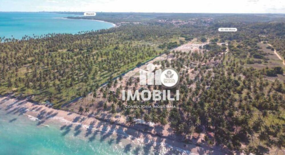 Apartamento, 3 quartos, 81 m² - Foto 10