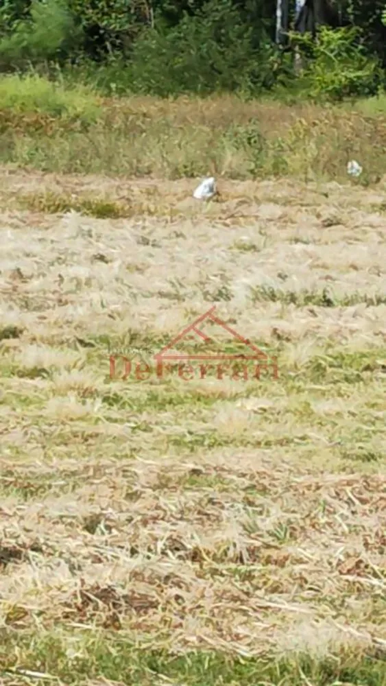 Terreno, 248 m² - Foto 1
