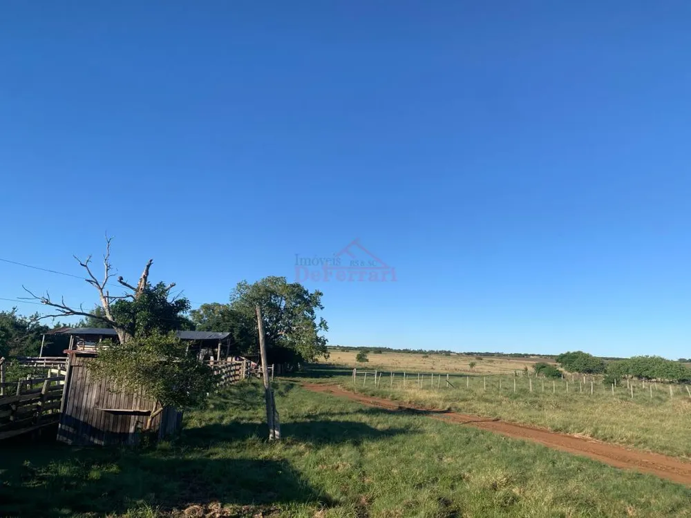 Fazenda - Foto 8