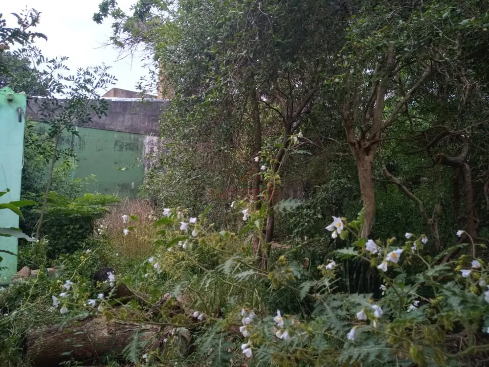 Loja-Salão, 71 m² - Foto 3
