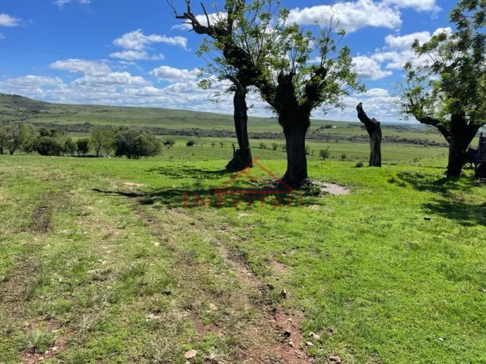 Fazenda - Foto 1