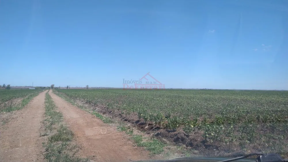 Fazenda - Foto 3