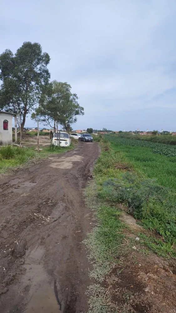 Terreno, 8 hectares - Foto 2