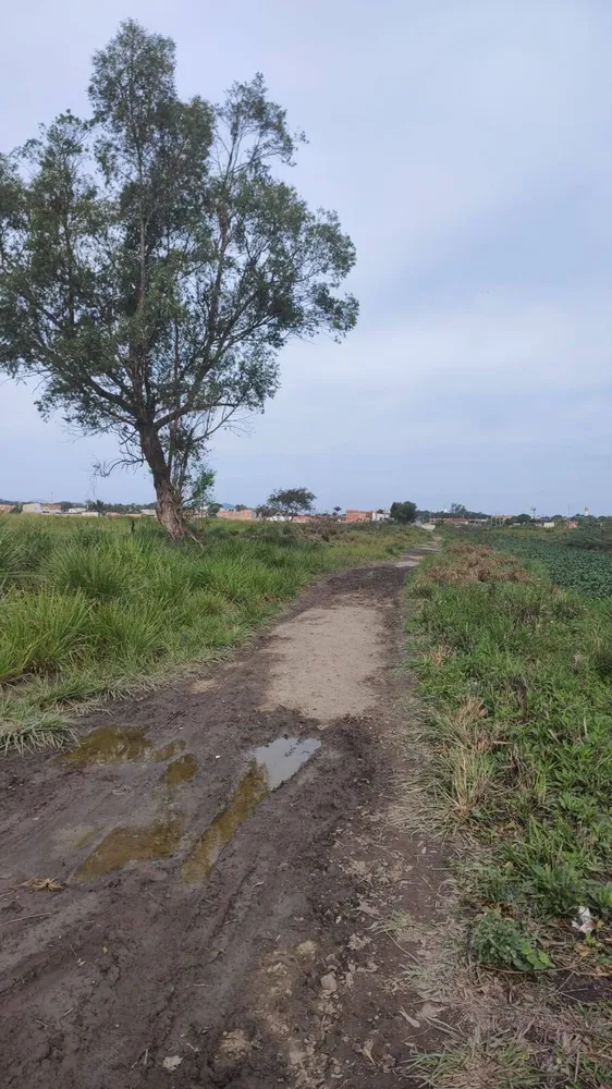 Terreno, 8 hectares - Foto 3