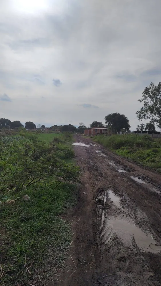 Terreno, 8 hectares - Foto 1