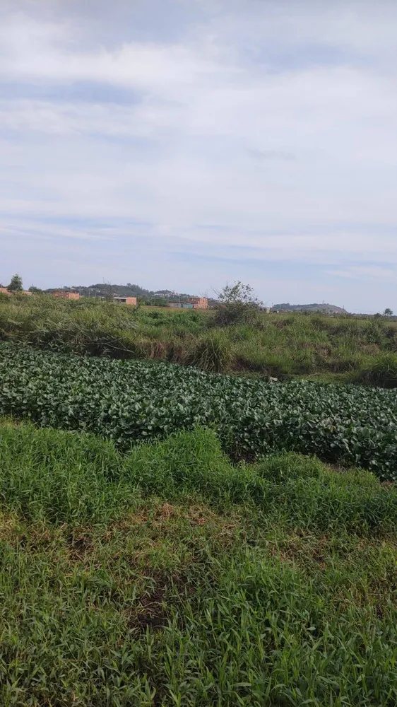 Terreno, 8 hectares - Foto 4