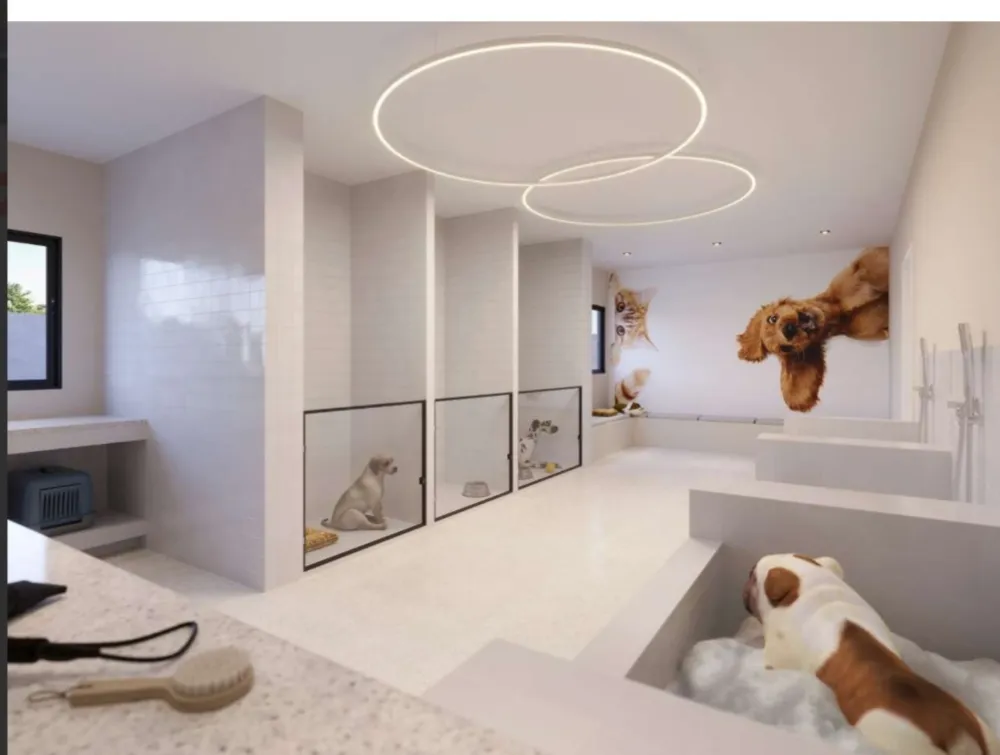 Apartamento, 2 quartos, 46 m² - Foto 26