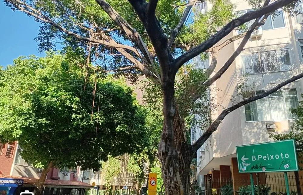 Apartamento, 3 quartos, 80 m² - Foto 10