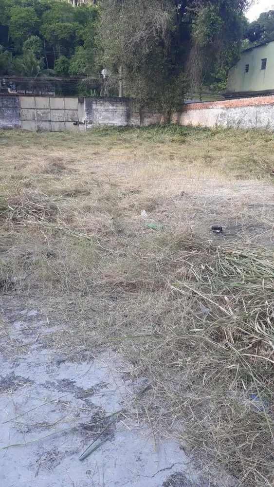 Terreno, 2350 m² - Foto 8