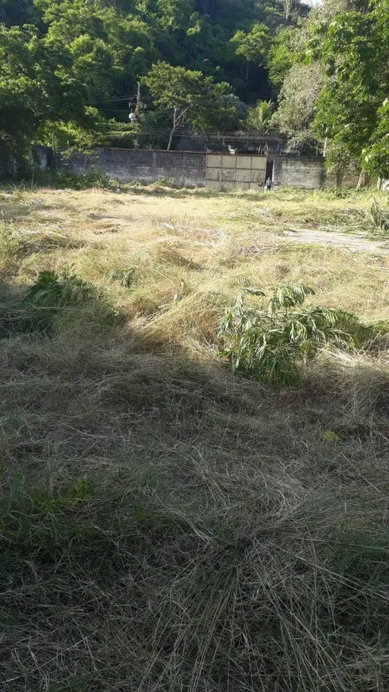 Terreno, 2350 m² - Foto 5