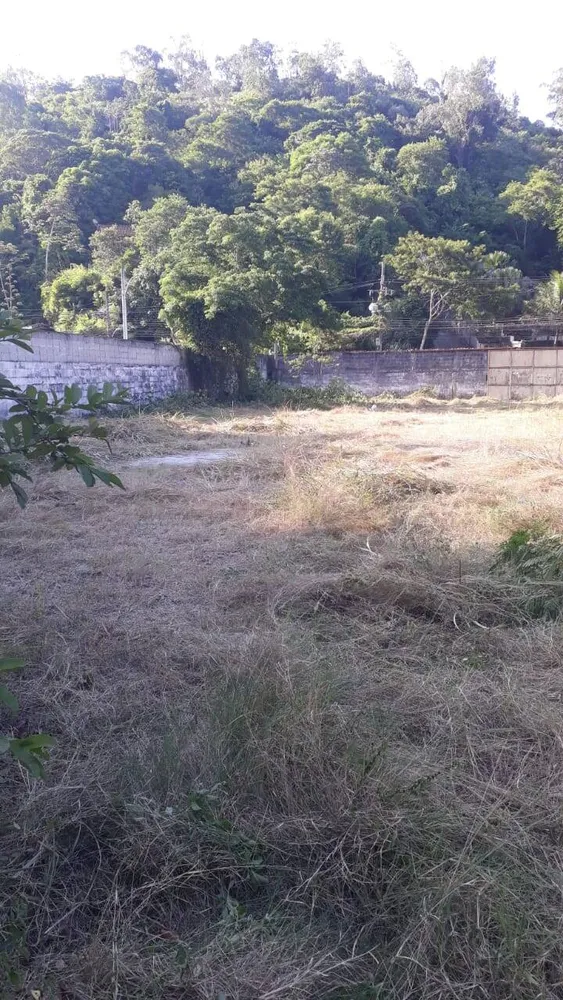 Terreno, 2350 m² - Foto 3