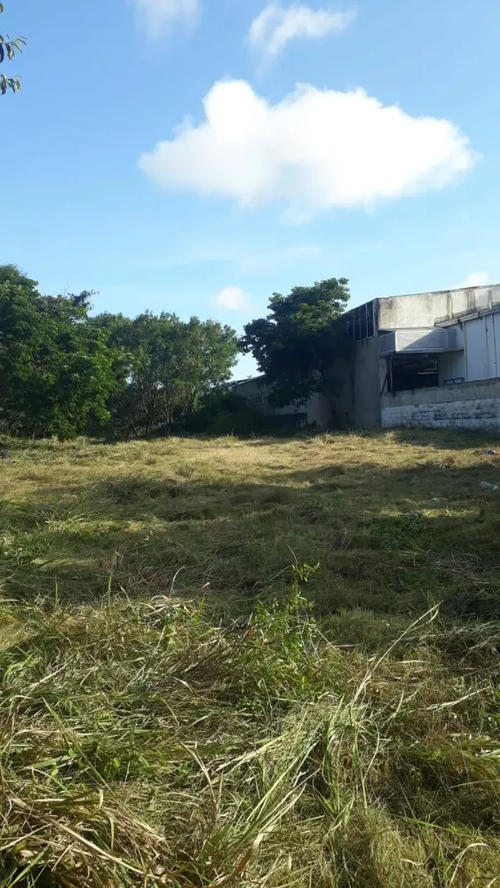 Terreno, 2350 m² - Foto 1
